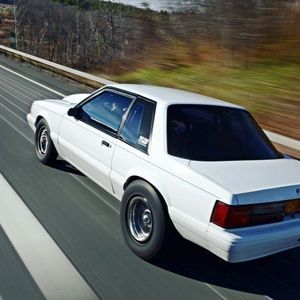 Meet your Posher, Thomas